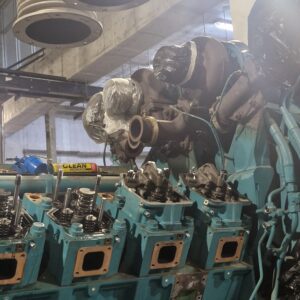 Maintenance Genset